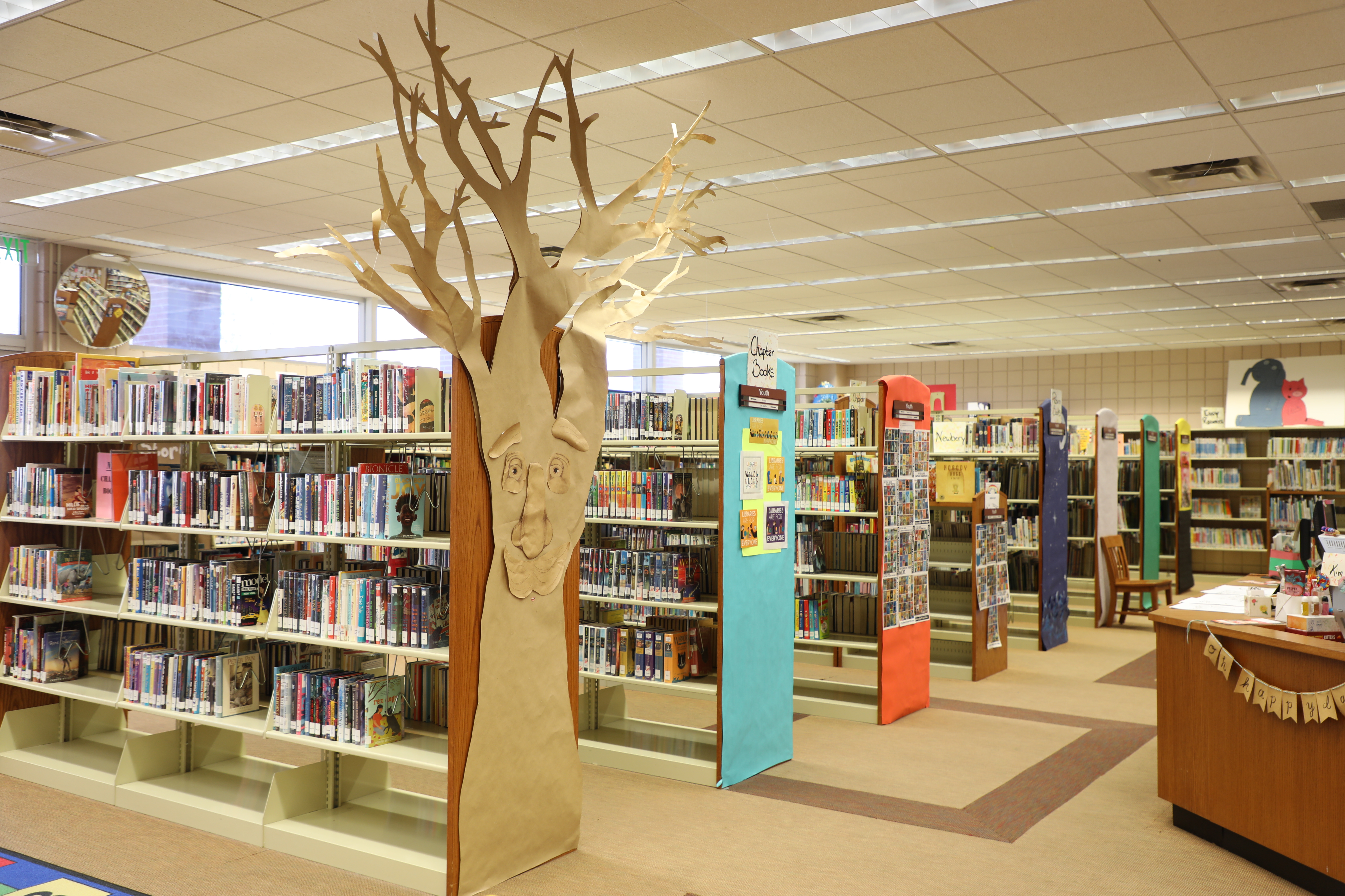 Childrens Section Bookshelf
